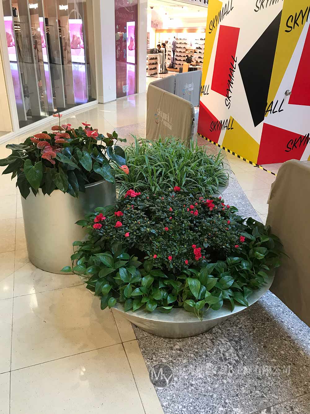 花卉租赁