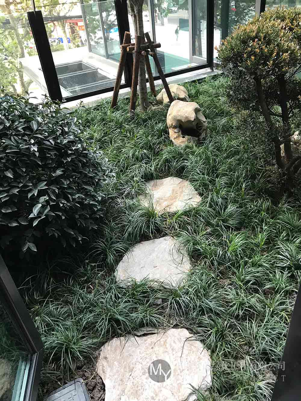 绿化养护