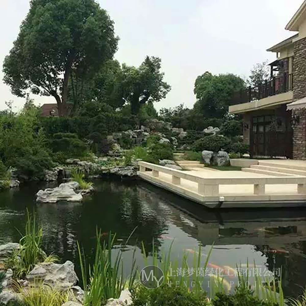 梦茵水族