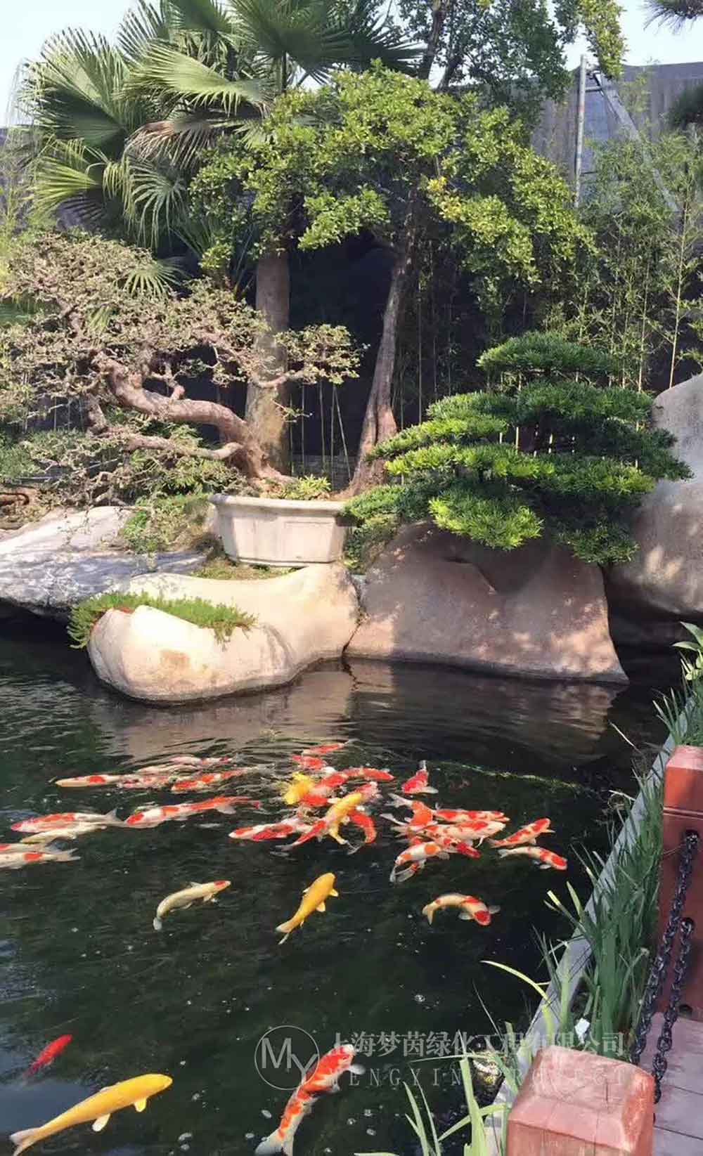 梦茵水族