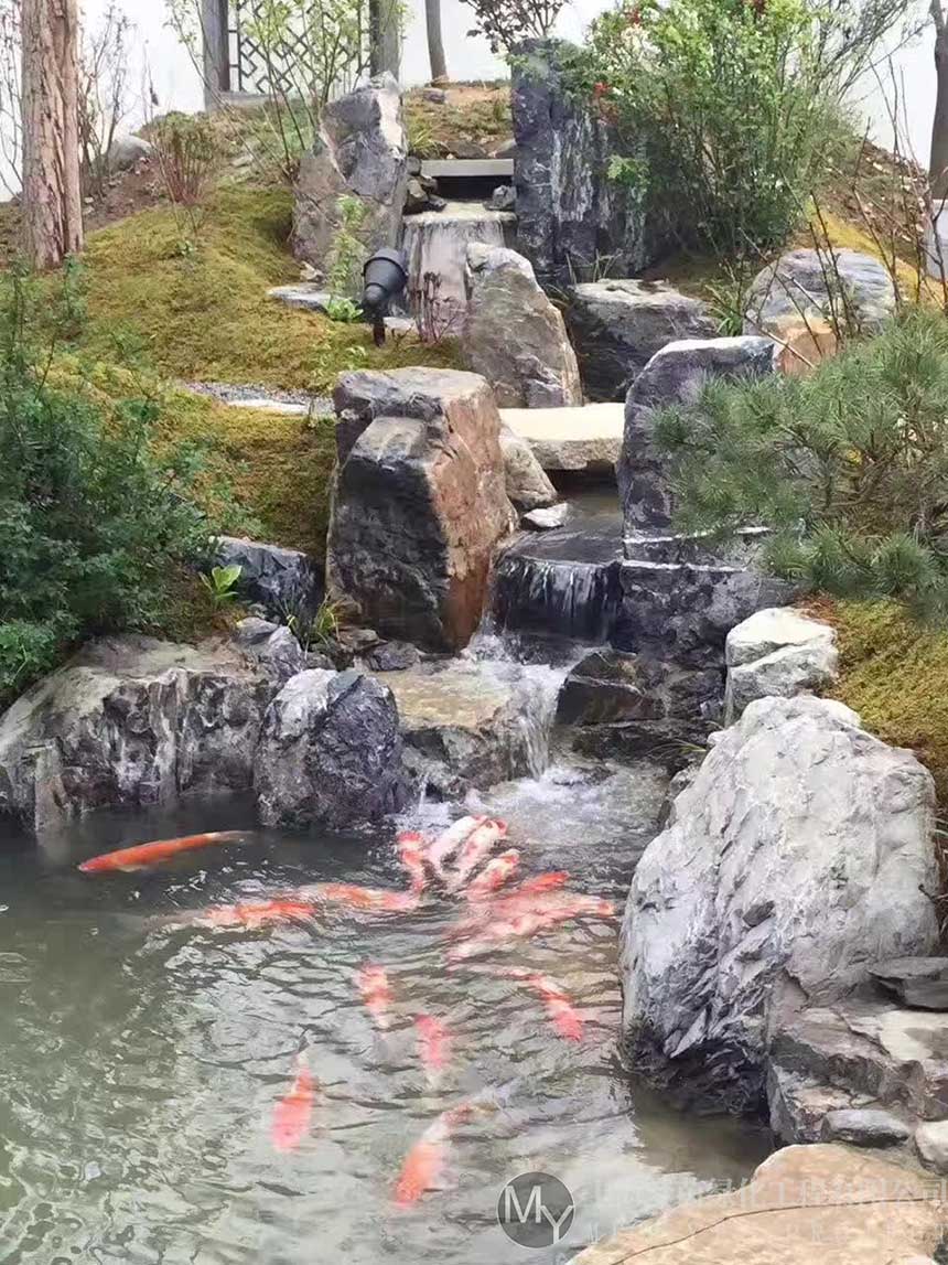 鱼池设计