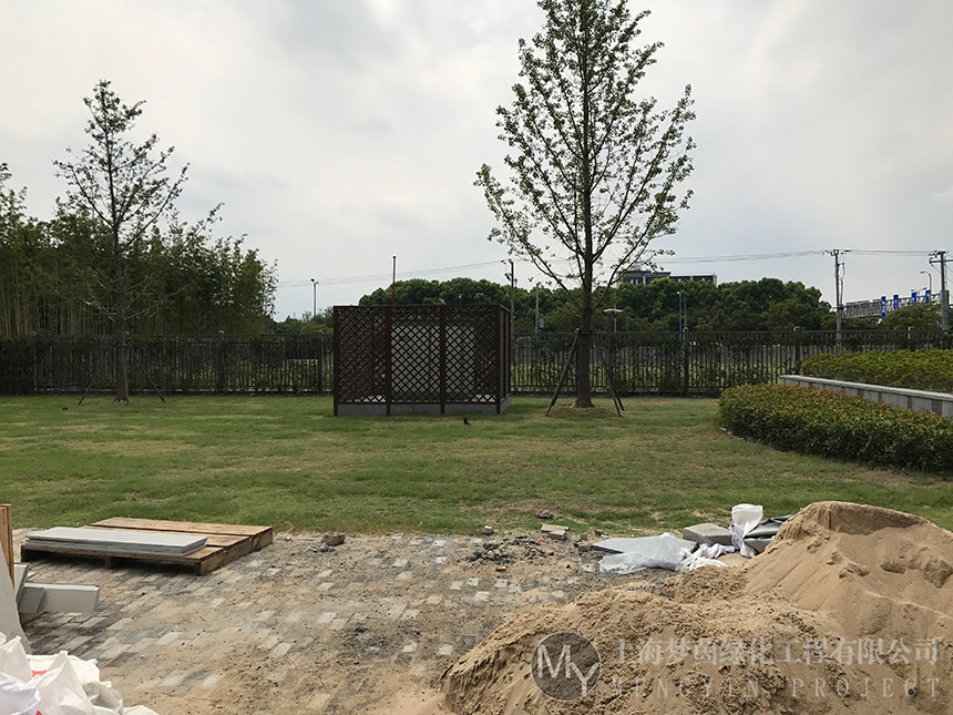 草坪养护