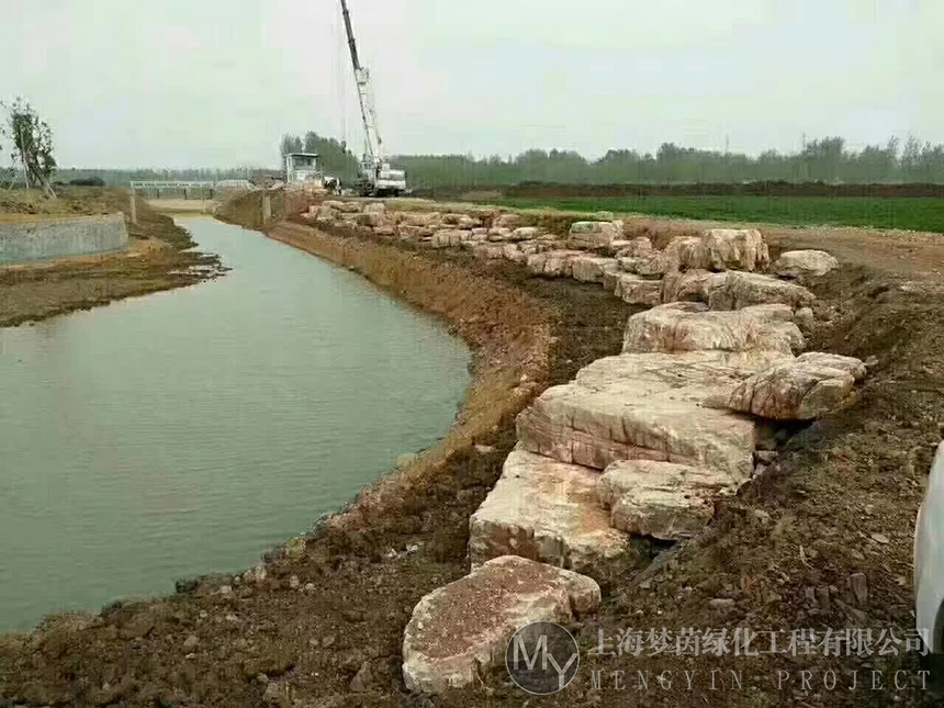 河道养护