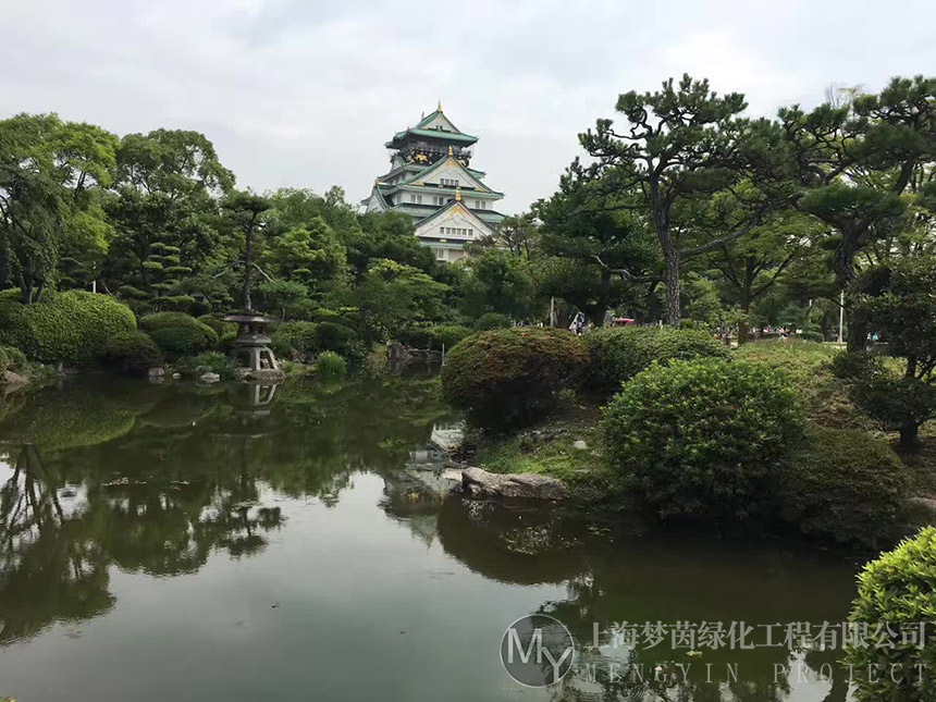 河道养护