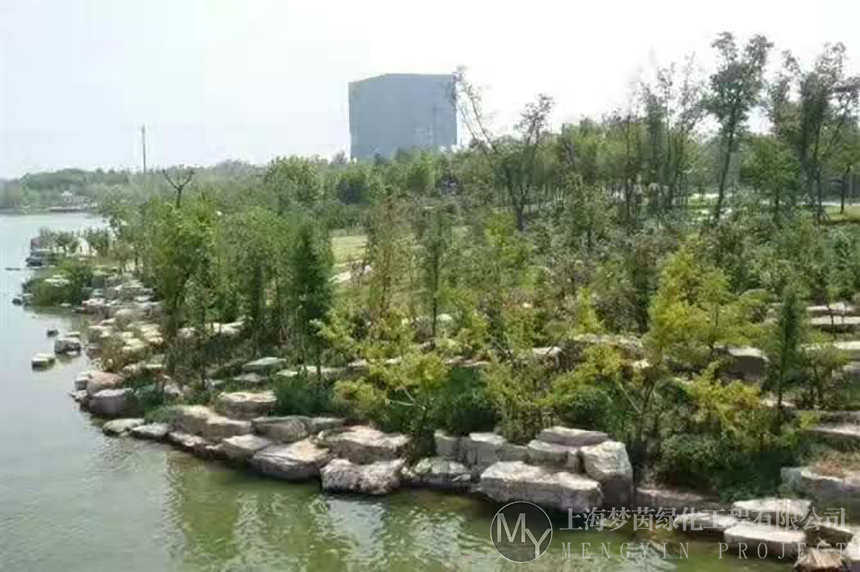 河道养护