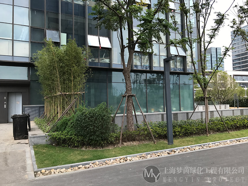 绿化养护
