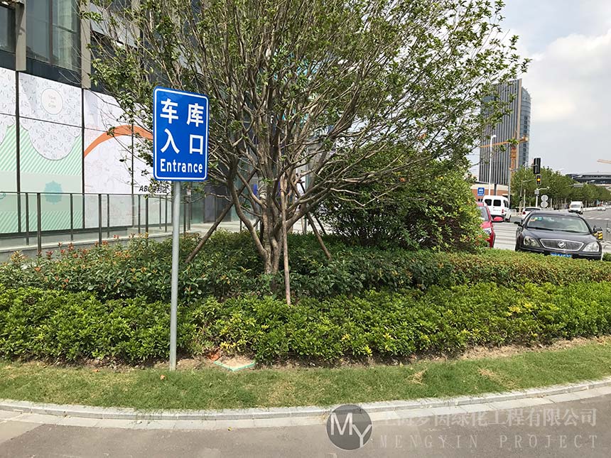 绿化养护