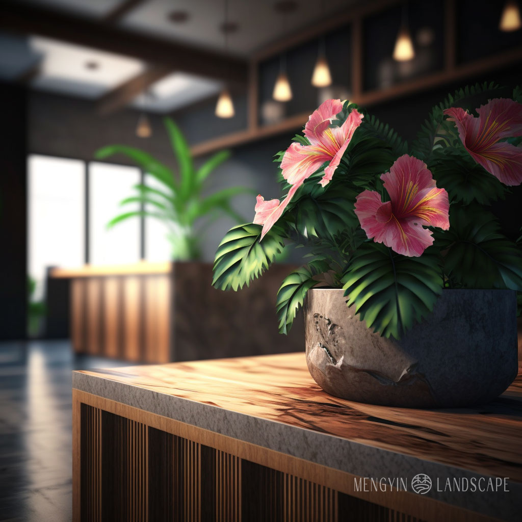 芙蓉